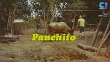 haw haw de karabaw/Dolphy/ Panchito/dang Cecilio/dely atay-atayan/ subas Herrero/ Noel Trinidad