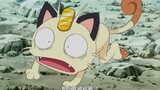 [Pokémon] Meo meo, không thể khuất phục được đâu~