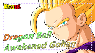 [Dragon Ball Z MAD] The Awakened Gohan