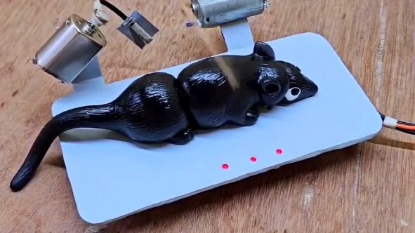 "Phần thưởng dành cho bạn thân của bạn sử dụng"