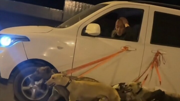 Ada kemungkinan nggak, mobil ini belum dinyalakan?