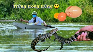Cùng Chíp Bé Đi Kiếm Mồi Cho Cá Sấu Vô Tình Phát Hiện Bồ Câu Đẻ Trứng Ở Trong Trứng / Quế Nghịch
