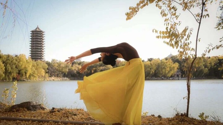 Beautiful! You are the most beautiful ginkgo leaf in autumn when you dance