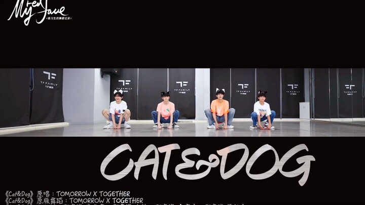 【TF Family】บันทึกการเต้นของเด็กฝึกหัด «MyRedFace» (ตอนที่ 20) — การคัฟเวอร์ท่าเต้นเพลง «Cat&Dog»