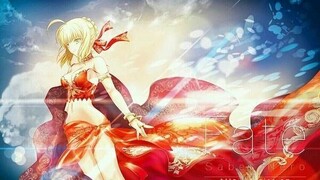 Fate Series [AMV] What You Mean to Me