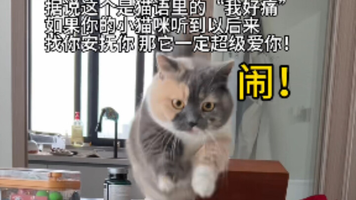 Thật kỳ diệu