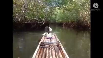 part1 fishing on🤗 mangrove fish❣️