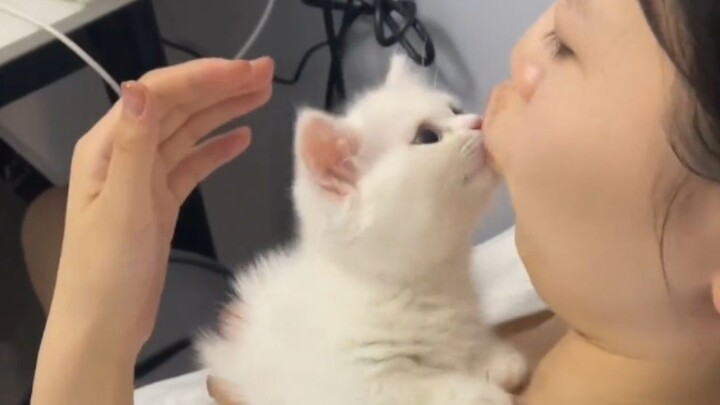 "The world is in tatters, the kitten mends it"