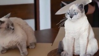 我吃个蛋糕，看把你吓的