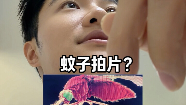 My mosquito is sick; I’m taking it to the doctor.