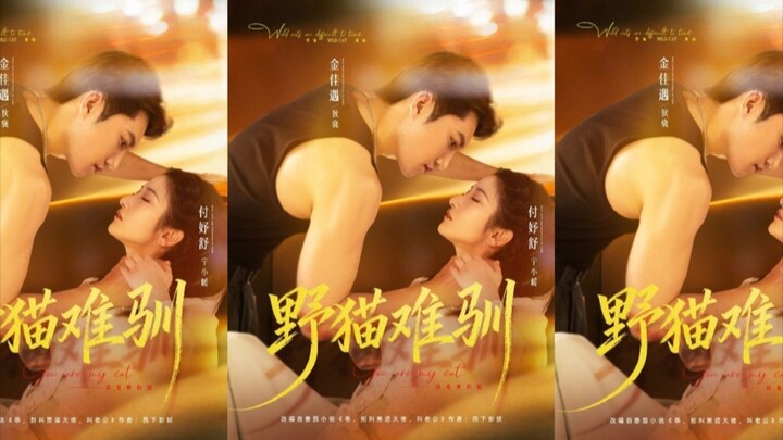 TRỌN BỘ - MÈO HOANG KHÓ THUẦN TM ( Kim Giai Ngộ , Phó Dư Thư )