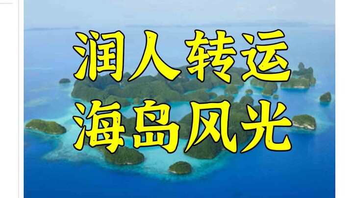 Melintasi Laut Pasifik: Palau dan AS Sepakat Terima Pengungsi yang Dideportasi oleh “Sang Raja”