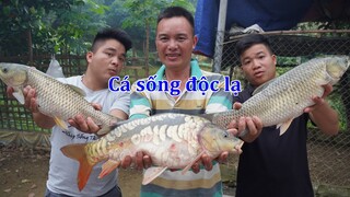 Lần đầu tiên ae nhịp sống tây bắc được ăn món cá sống độc lạ