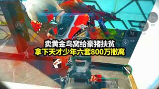 Selling golden bird nests to porcupines for poverty alleviation! Securing the prodigy with six sets 