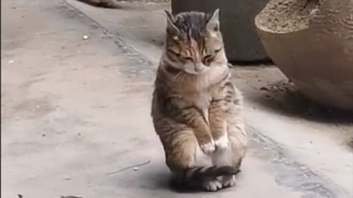 Cho hỏi gần đây có nhà vệ sinh không, tôi đang rất gấp.