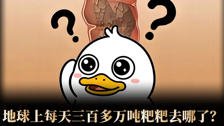 Trên Trái Đất có 8 tỷ người, mỗi ngày thải ra hơn 3 triệu tấn phân, vậy sao Trái Đất không bị chất t