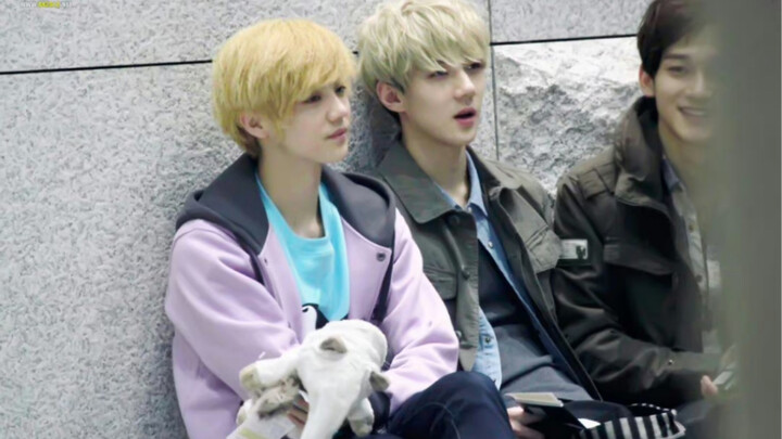 This is the top beauty CP of the boy group