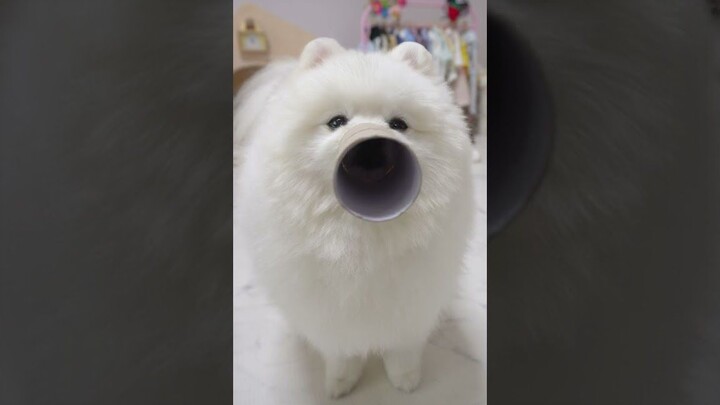 ได้ยินว่าแค่ 3 วินาทีก็เปลี่ยนลูกหมาให้กลายเป็นช้างได้?!