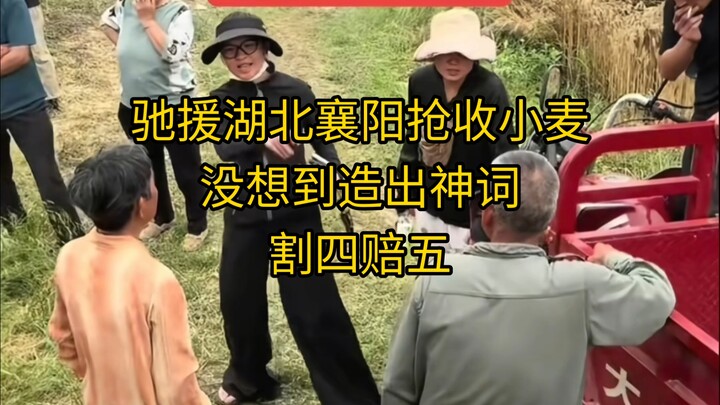 Hubei Xiangyang “Cut Four, Compensate Five” Incident