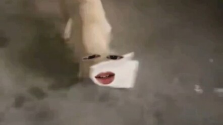 พี่สองถึงกับอึ้งไปเลย ฮ่าฮ่าฮ่า