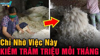 ✈️ 6 Khám Phá Bí Ẩn Và Thú Thú Vị Về Loài Vịt Và Câu Chuyện Cảm Động Rơi Nước Mắt  | Khám Phá Đó Đây