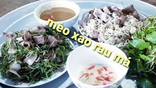 Biển Nguyễn ngọc | Thịt Mèo Xào Rau Má.Cháo Mèo Thơm Ngon Bổ Dưỡng