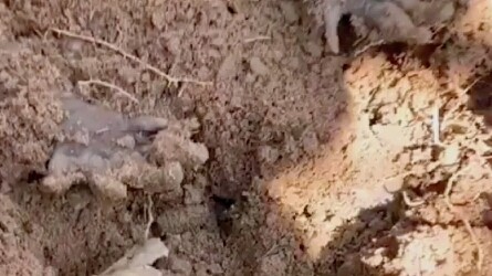 Tôi hoàn toàn không ngờ tới