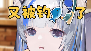 你们别钓主包啦！她什么钩都会咬的！