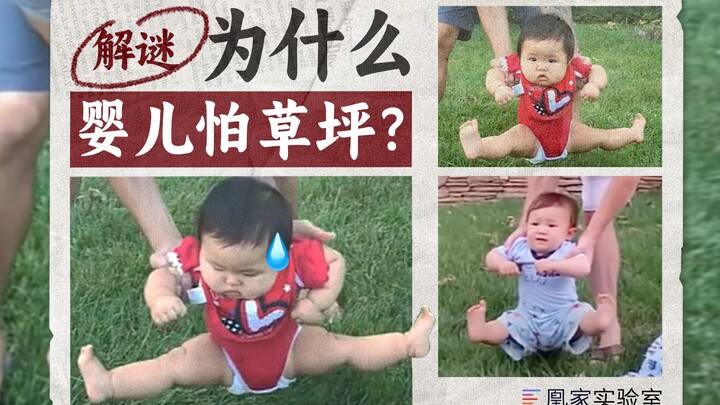 Don't even think about letting me touch the grass!!! Why do babies resist lawns? | Phoenix Lab