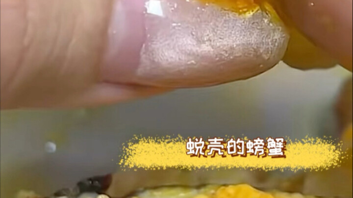 Thought it was a pet vlogger, but it turned out to be a food vlogger! #Crab #Soft-Shell Crab