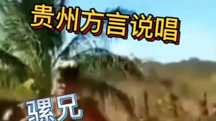 The tiger doesn’t meow—do you think I’m just putting on an act?