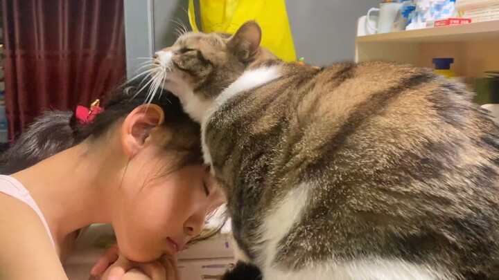 Cat: It’s still easier to farm little guys!