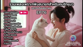 รวมเพลงเพราะๆฟังสบายๆสำหรับคนรักแมว EP76