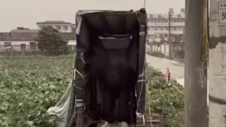 With just a slight touch, he’s already the pinnacle of design — the epic docuseries “The Legend of N