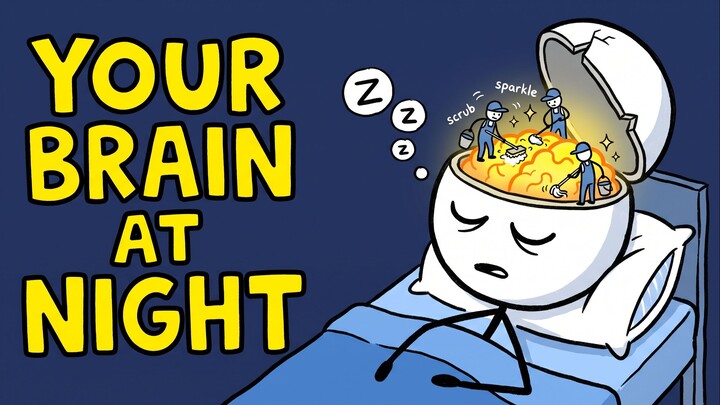 Your Brain’s Nightly Reset Why You Can’t Skip Sleep
