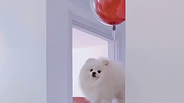 ใช่แล้ว! ฉันเองแหละ! ฉันคือฮิตาชิที่บินได้นั่นไง! ฮ่าฮ่าฮ่า