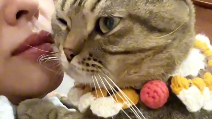 对会喊妈妈的小猫完全没有抵抗力啊啊啊啊！