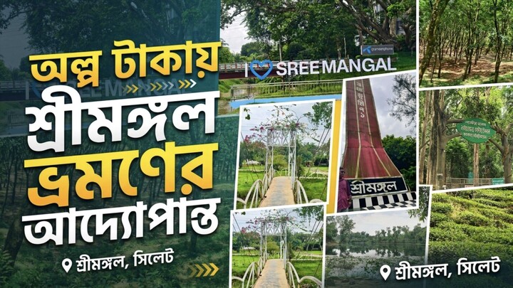 সম্পূর্ণ শ্রীমঙ্গল ভ্রমণ গাইড | কোথায় যাবেন, কত খরচ | Sreemangal Travel Guide