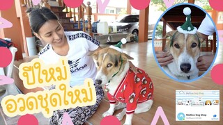 โลกของแสนดี ตอน สวัสดีปีใหม่ค่า