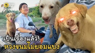 เป็นเรื่องแล้ว! น้องหมาหวงขนมไม่ยอมแบ่งพี่ ยิ้มหวานจิกตาแรงแล้วนะ  | Dog's Clip