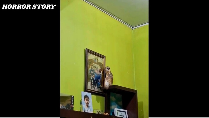 #horrorstory