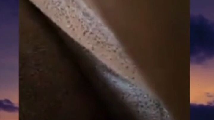 cute cat watch until the end