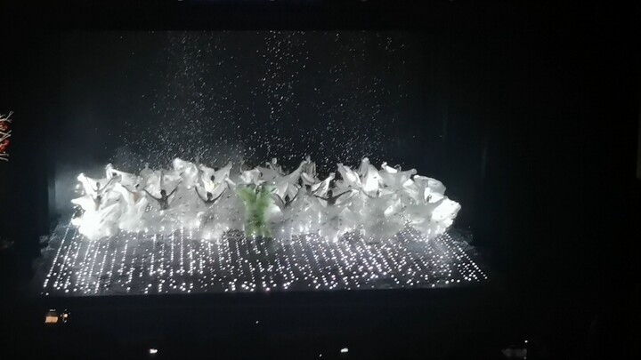 [Yang Liping Dance Drama "Peacock"] On that day, I witnessed the gods with my own eyes