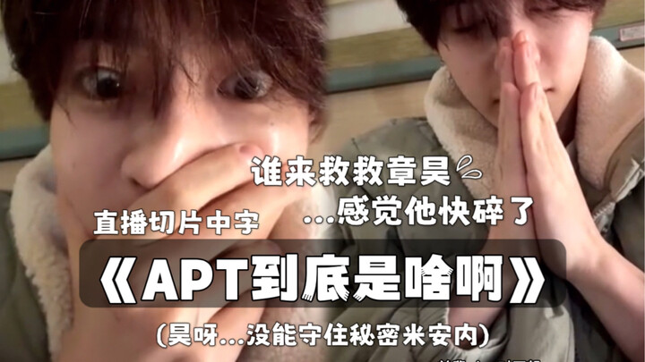 [ضحك مجنون] تشانغ هاو: “ما هو APT بالضبط؟” هل كسرة بث مباشر كادت تُنهي مسيرته الفنية كنجم K-pop؟