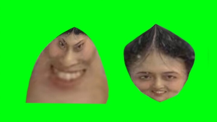 The Adorable Wuda Library Mascot – Yang De Li.GB