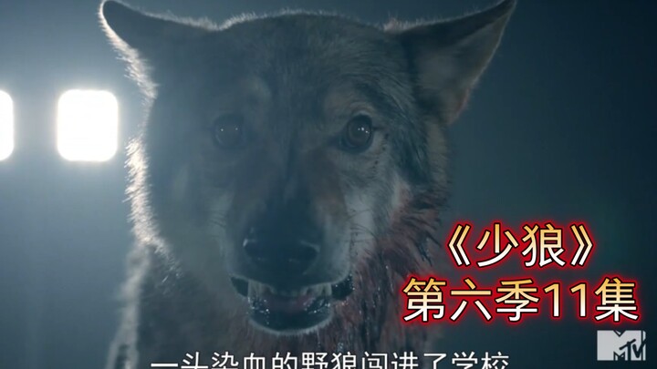 【Anak Serigala】Anjing neraka yang terkunci selama seratus tahun akhirnya muncul, tapi ternyata justr