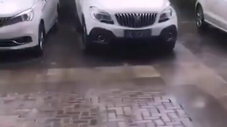 Siapakah saudara sesama praktisi yang sedang menyiram tanaman di sini?