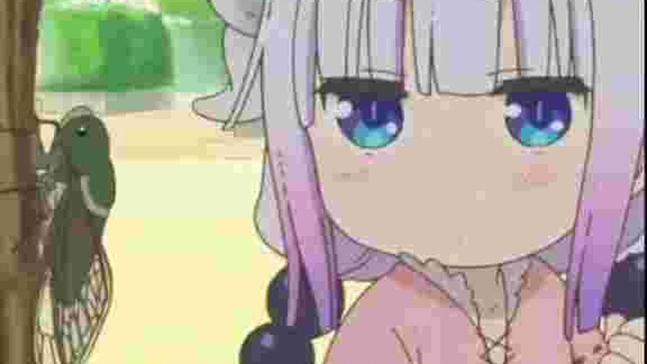 Ủa cây đó cầm làm j?