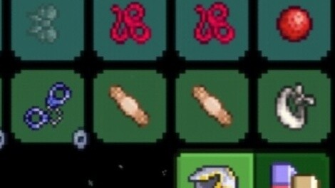 Terraria's Wonderful Fashion