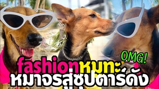 หมูทะ หมาจรสู่ซุปตาร์ดัง Fashion "หมูทะ" พูดเลย OMG!